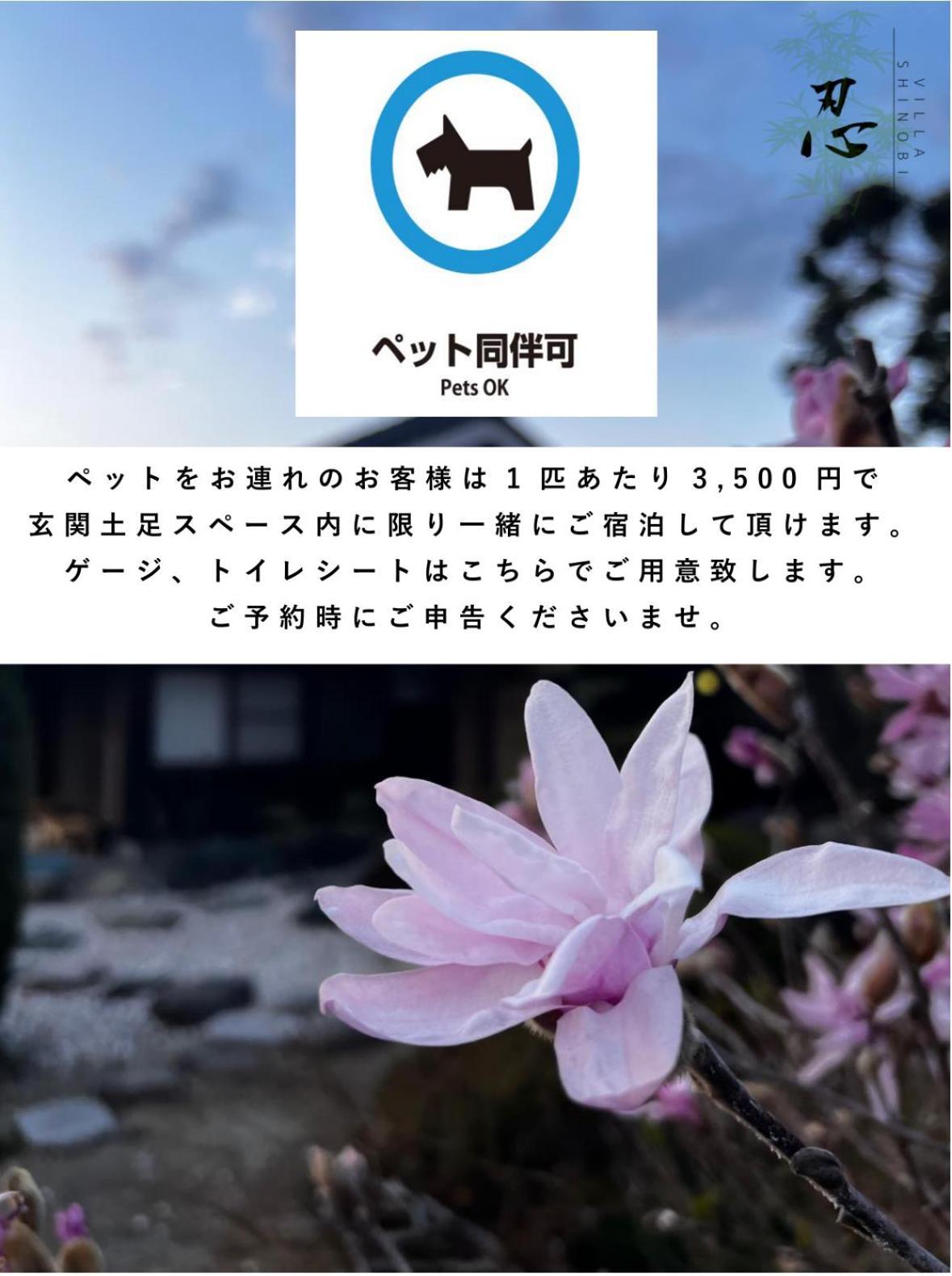 Villa Shinobi -忍- Hinase Eksteriør billede