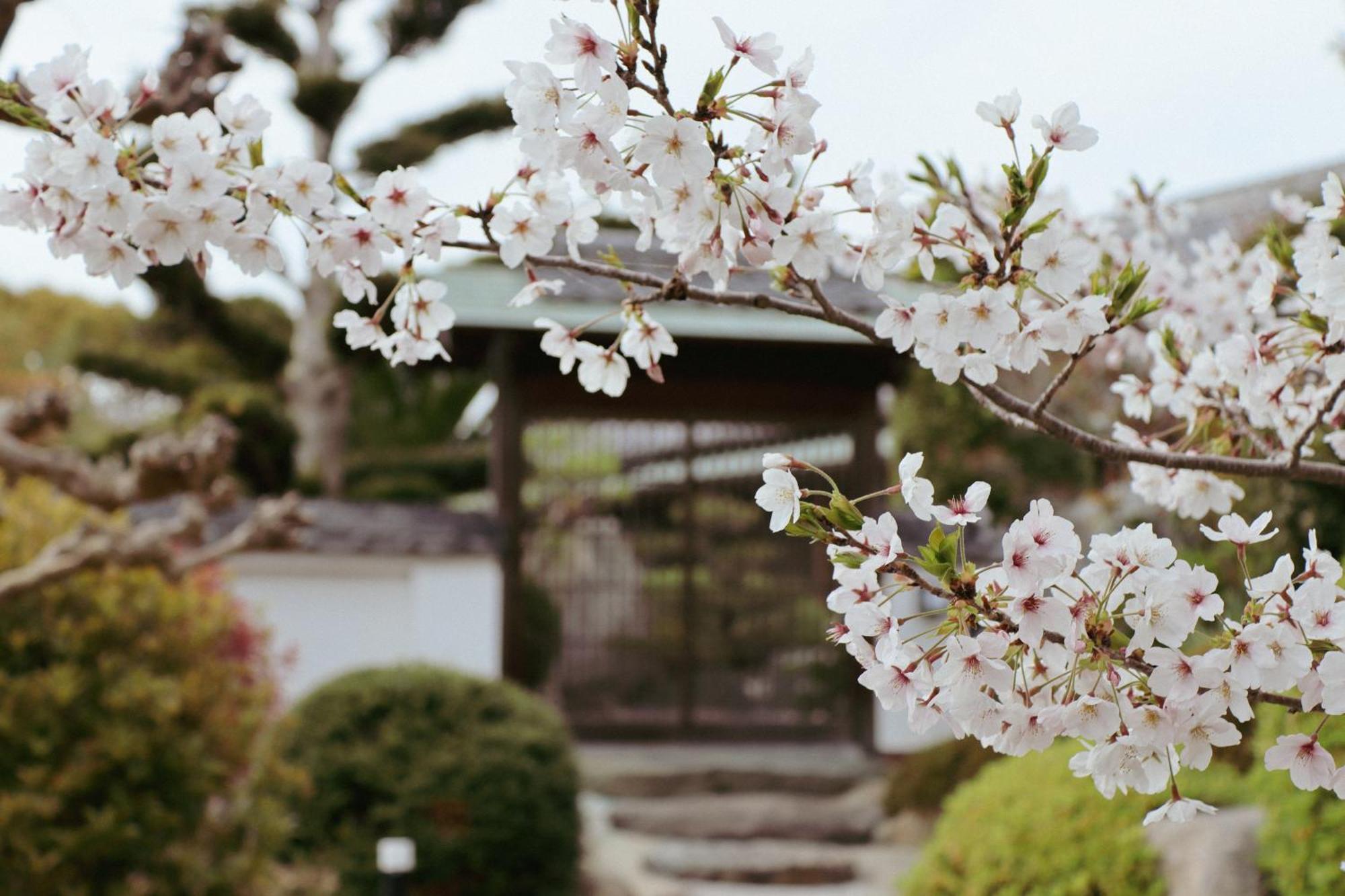 Villa Shinobi -忍- Hinase Eksteriør billede